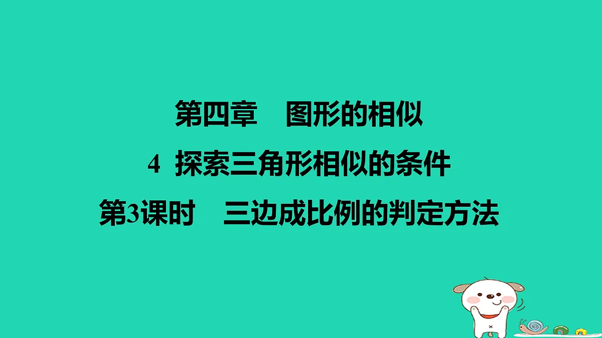 17526558第1页