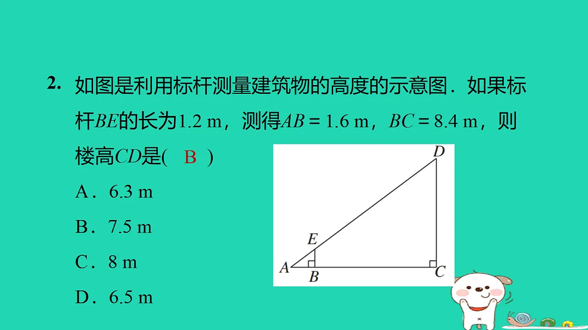 17526561第5页