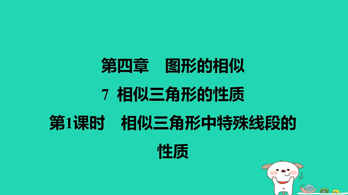 17526562第1页