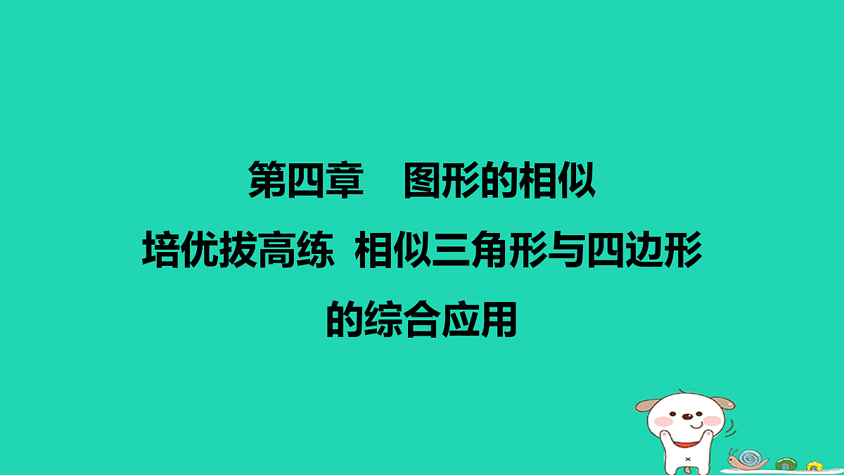 17526579第1页