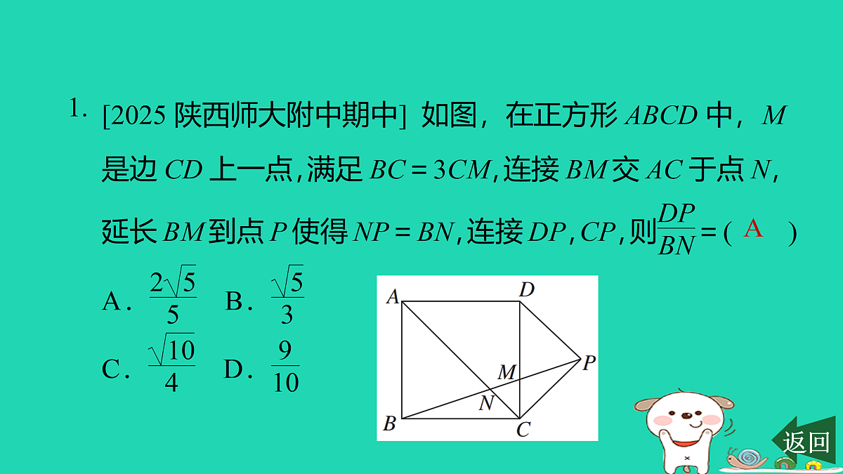 17526579第2页