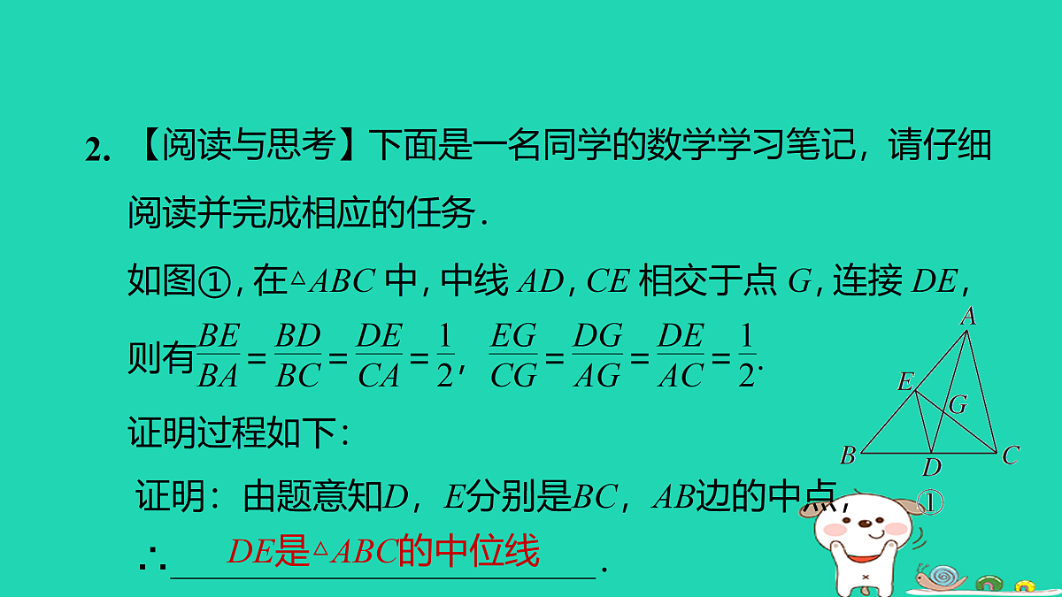 17526579第3页