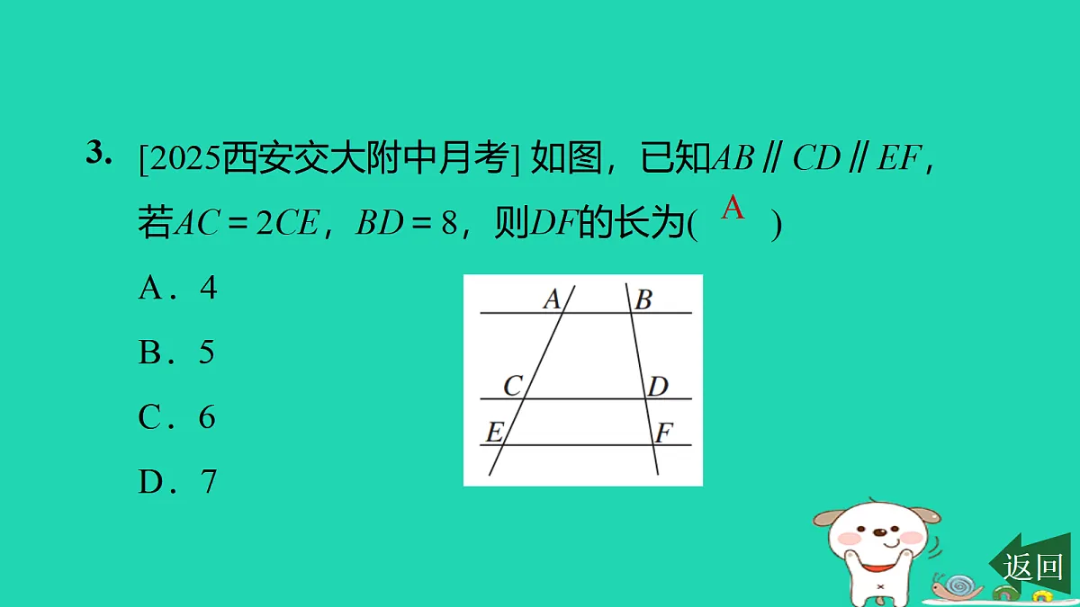 17526582第4页
