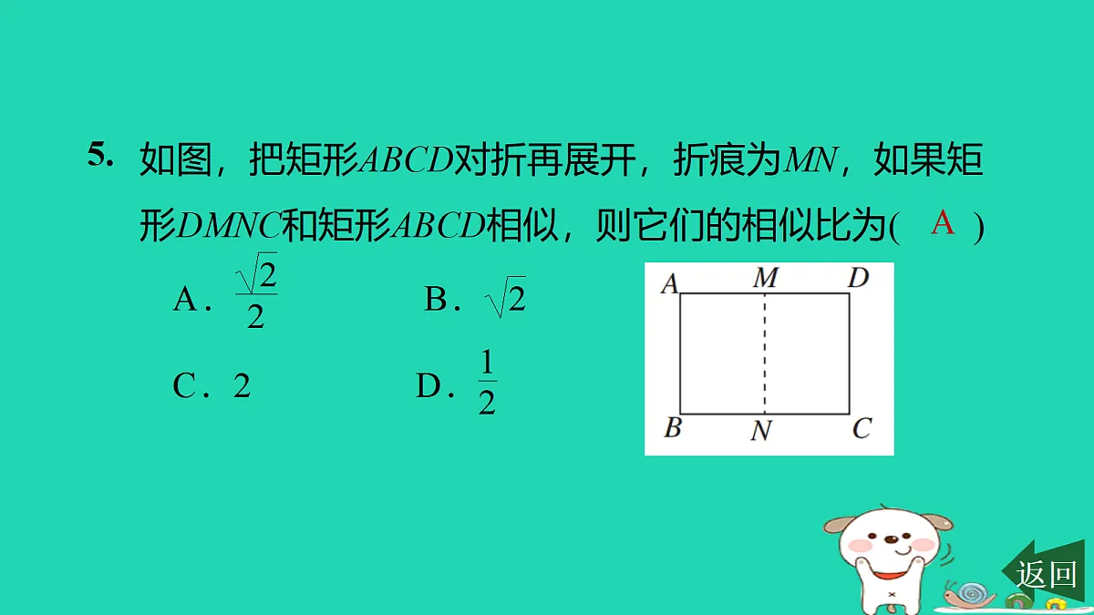 17526582第6页