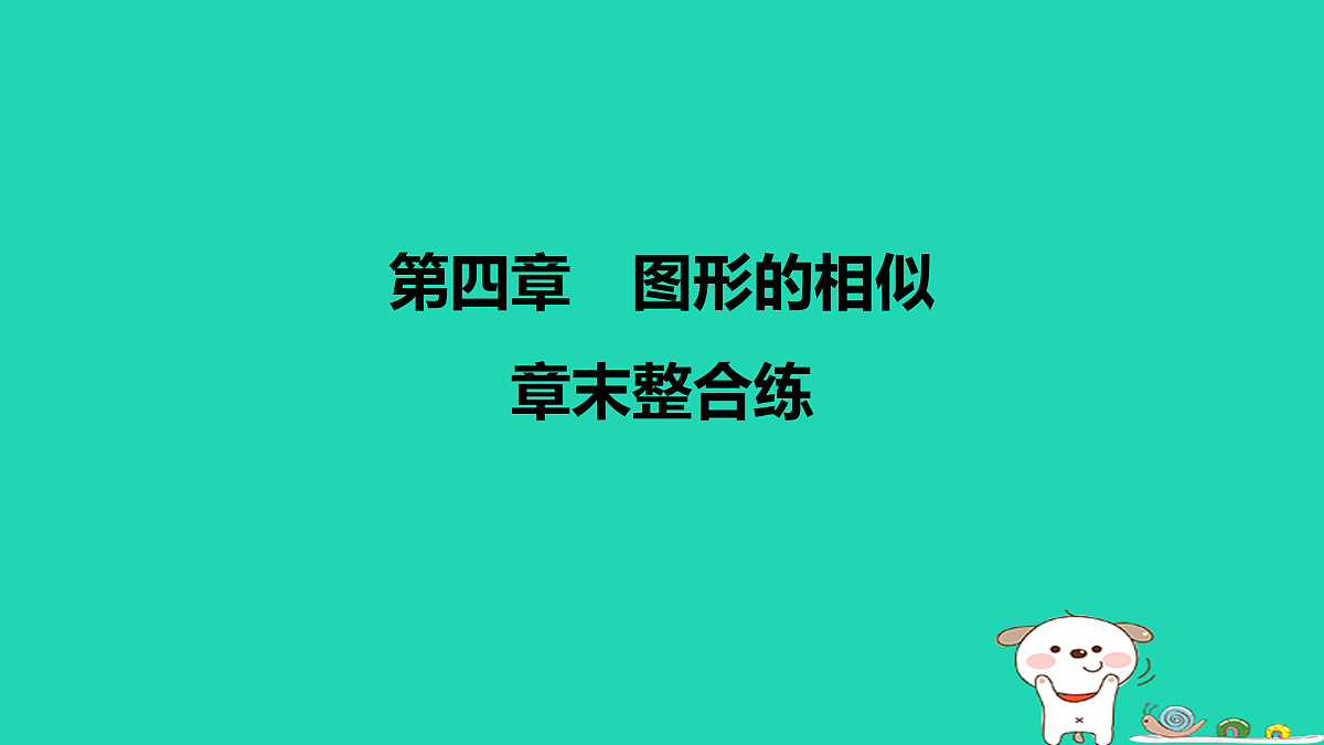 17526583第1页