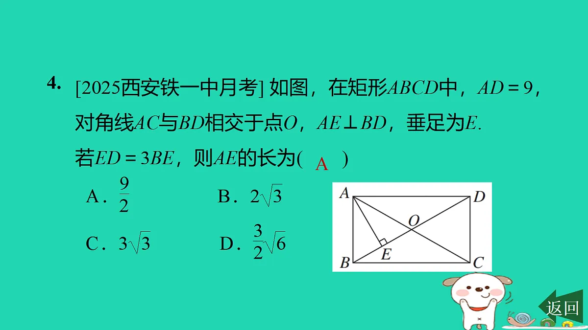 17526589第5页