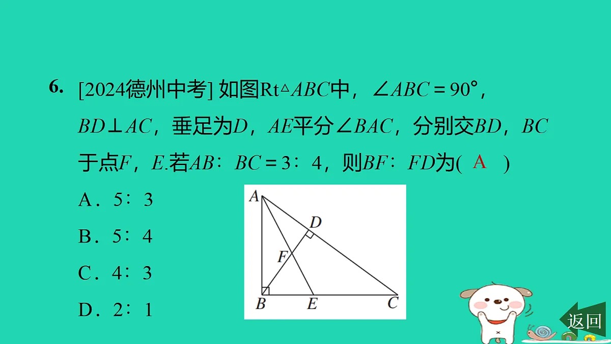17526589第7页