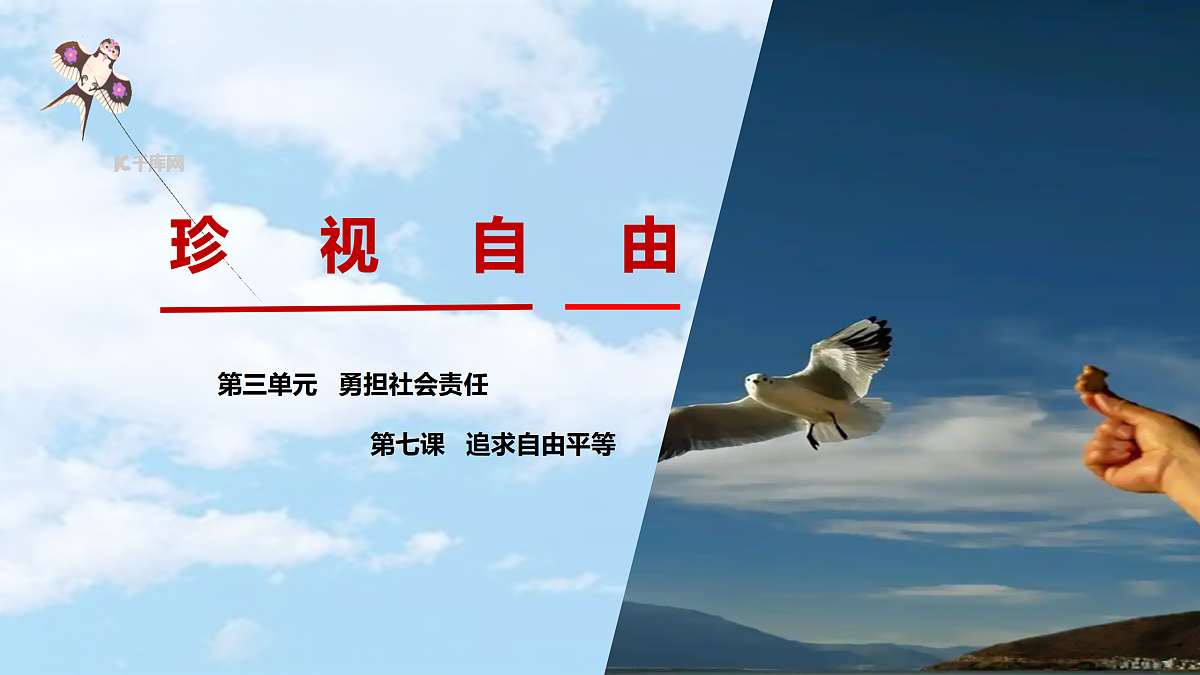 17527176第2页