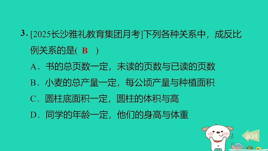 17527876第4页