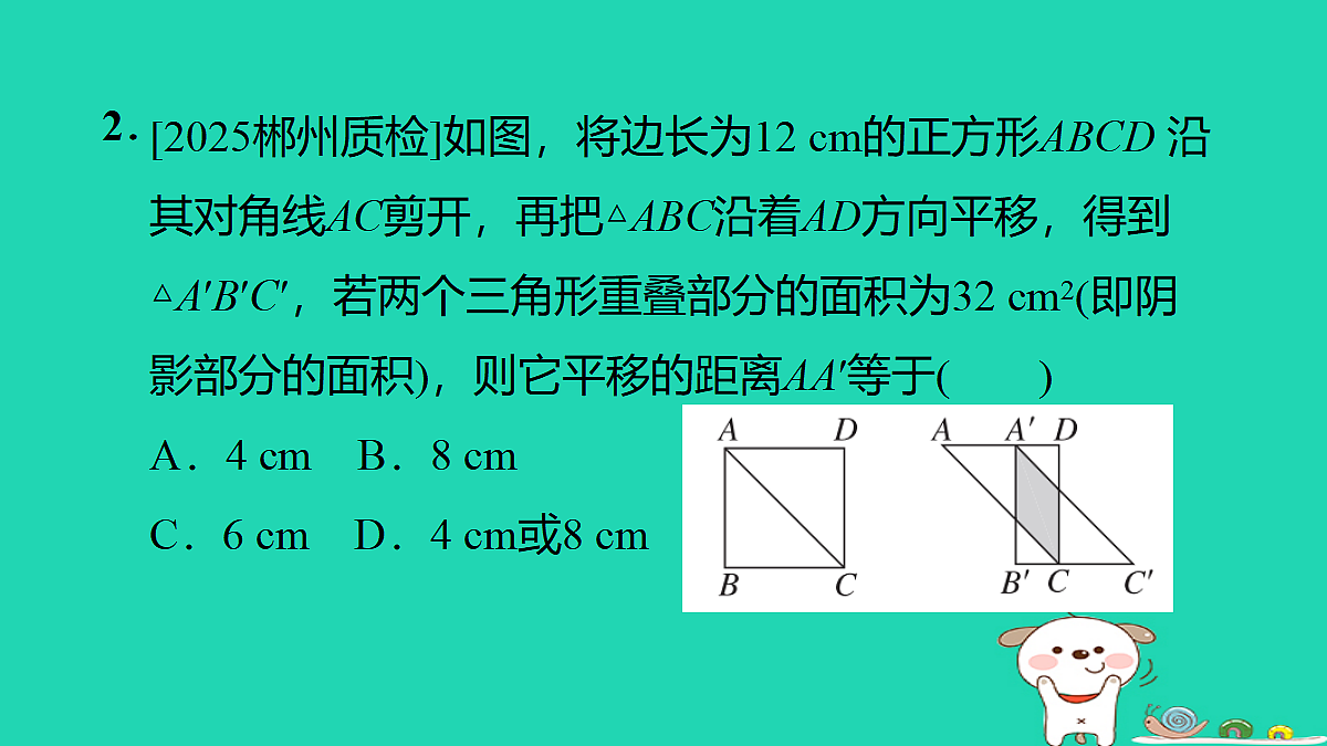 17527889第3页