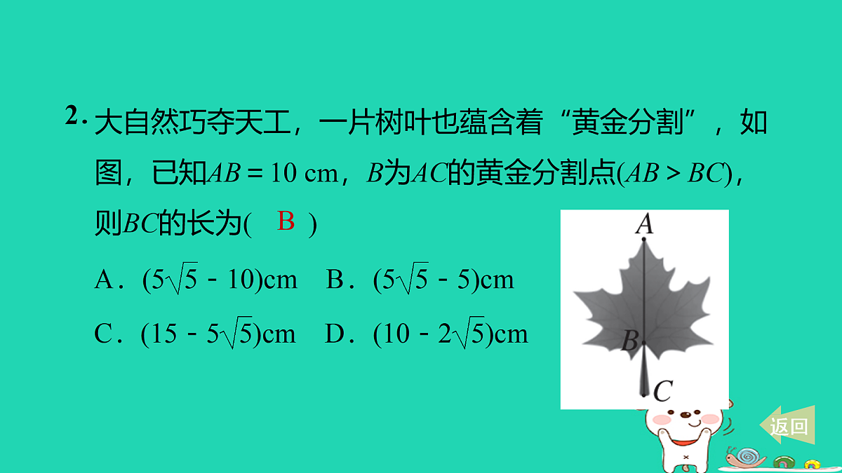 17527891第3页
