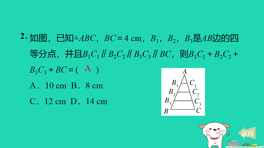 17527892第3页