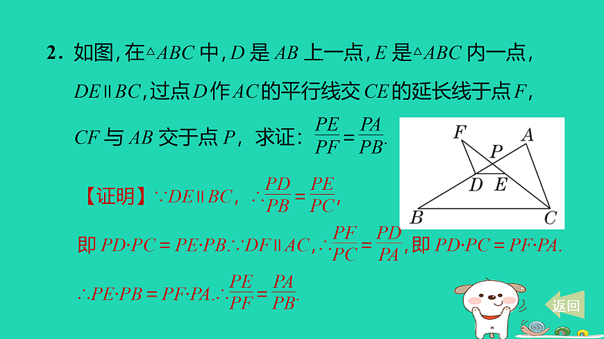 17527893第3页