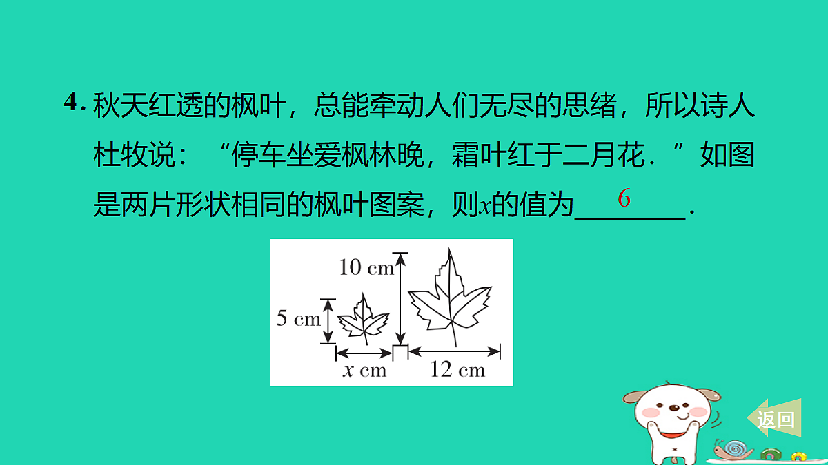 17527894第5页