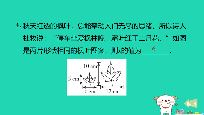 17527894第5页