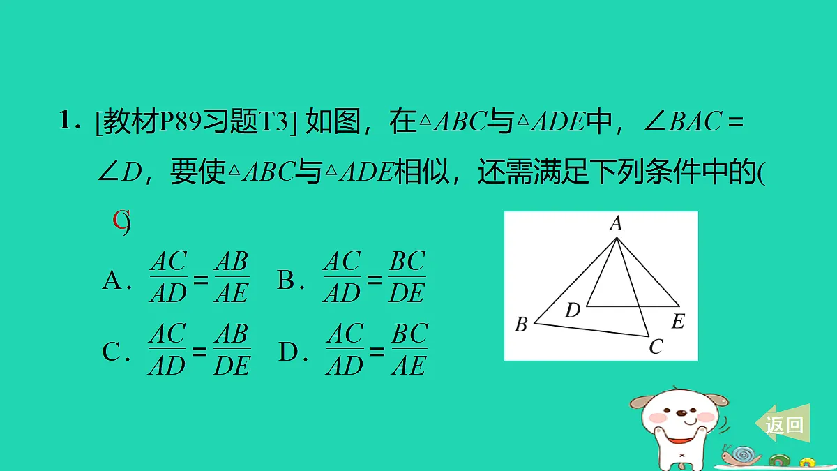 17527896第2页