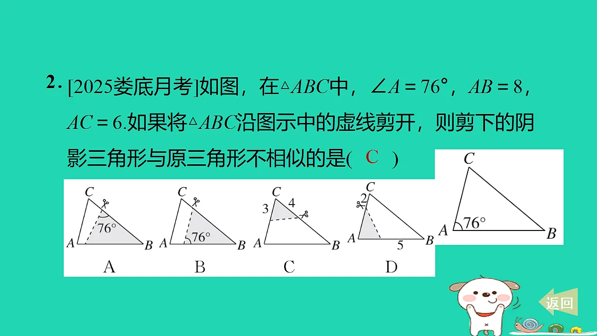 17527896第3页