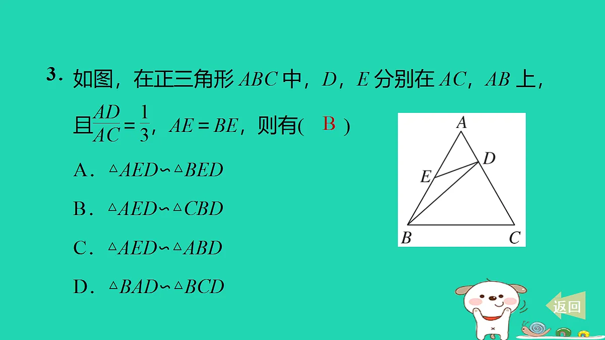 17527896第4页