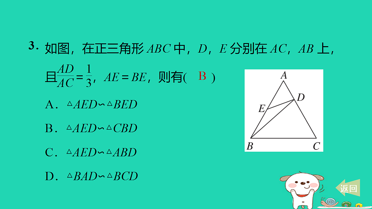 17527896第4页