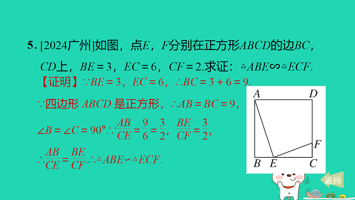 17527896第6页