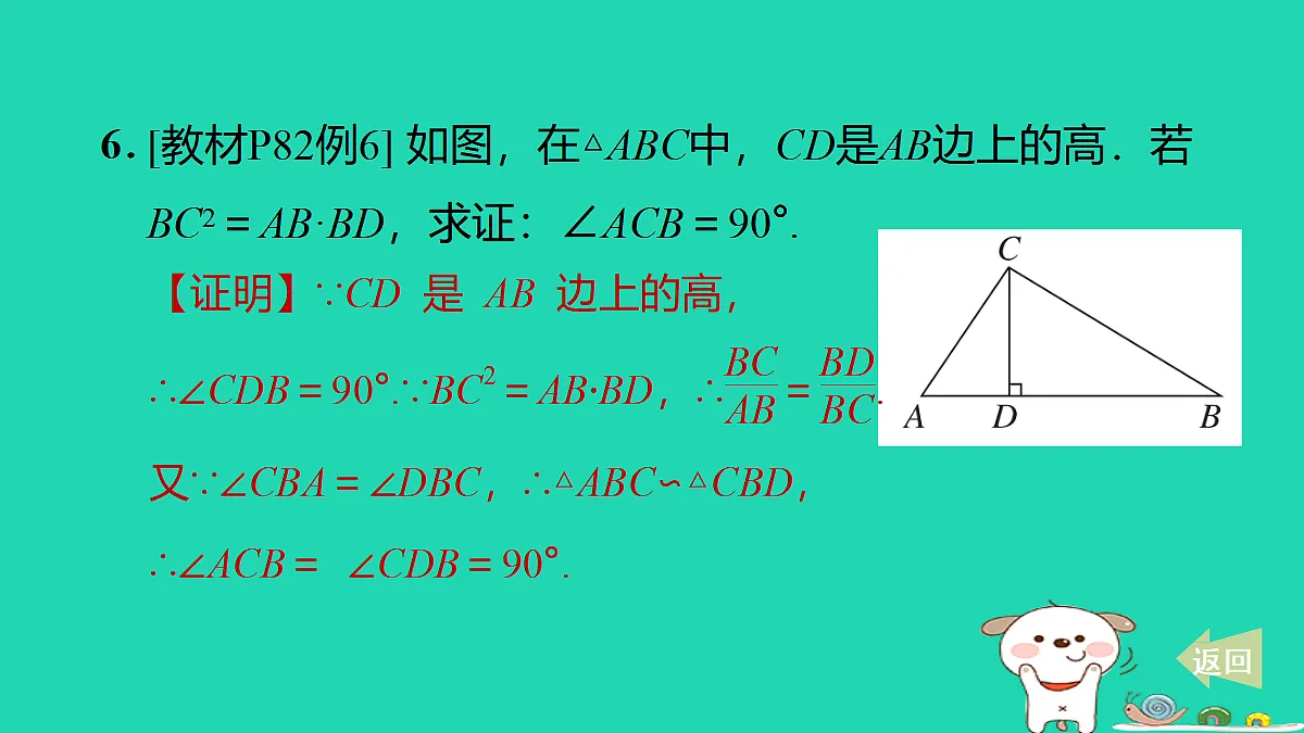17527896第7页