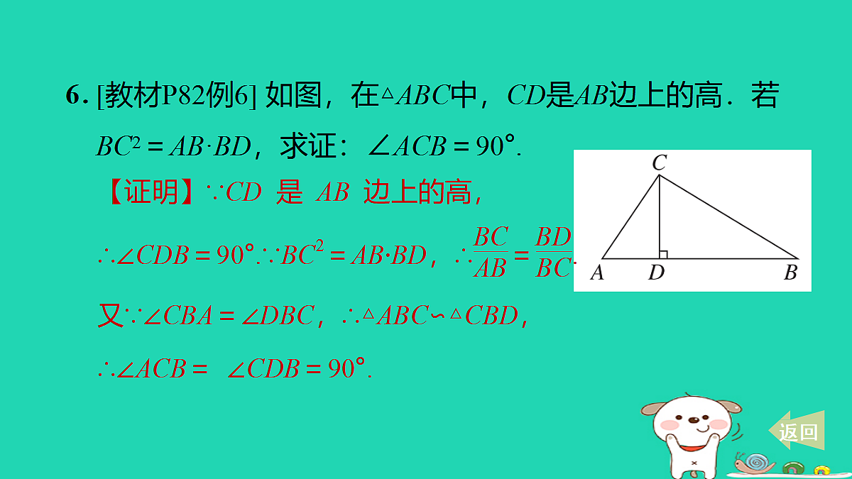 17527896第7页