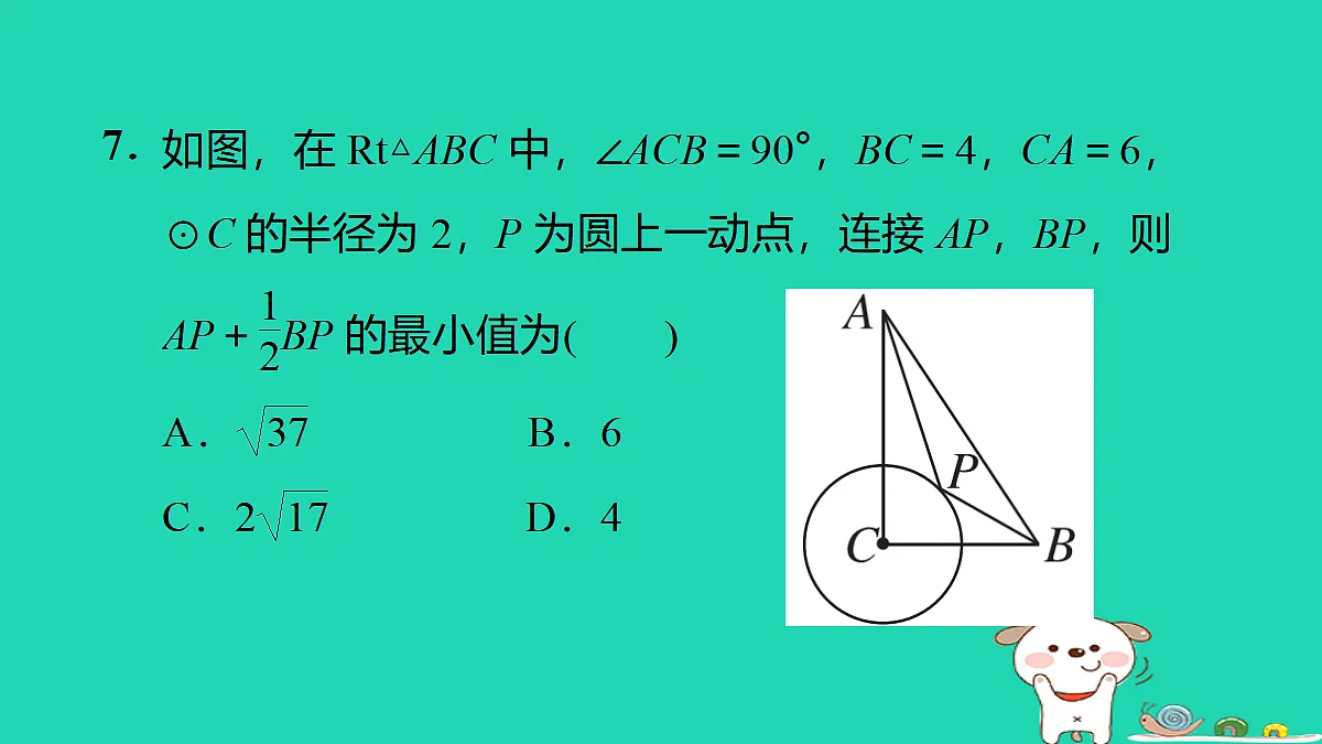 17527896第8页