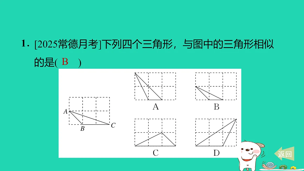 17527897第2页