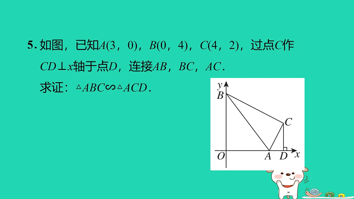 17527897第7页