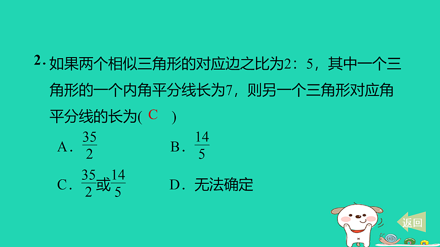 17527898第3页