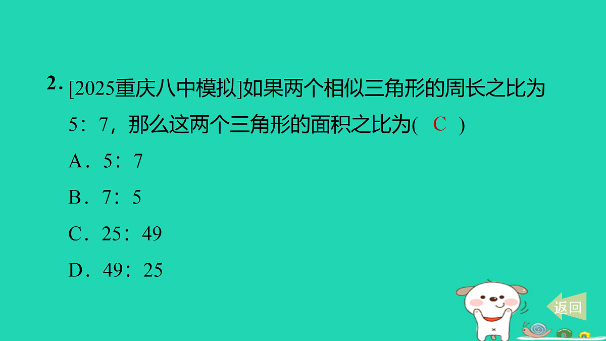 17527900第3页