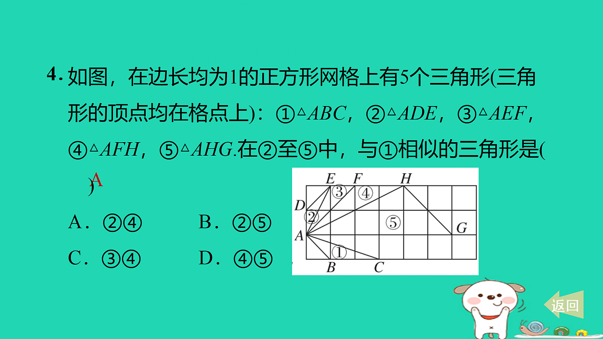 17527900第5页