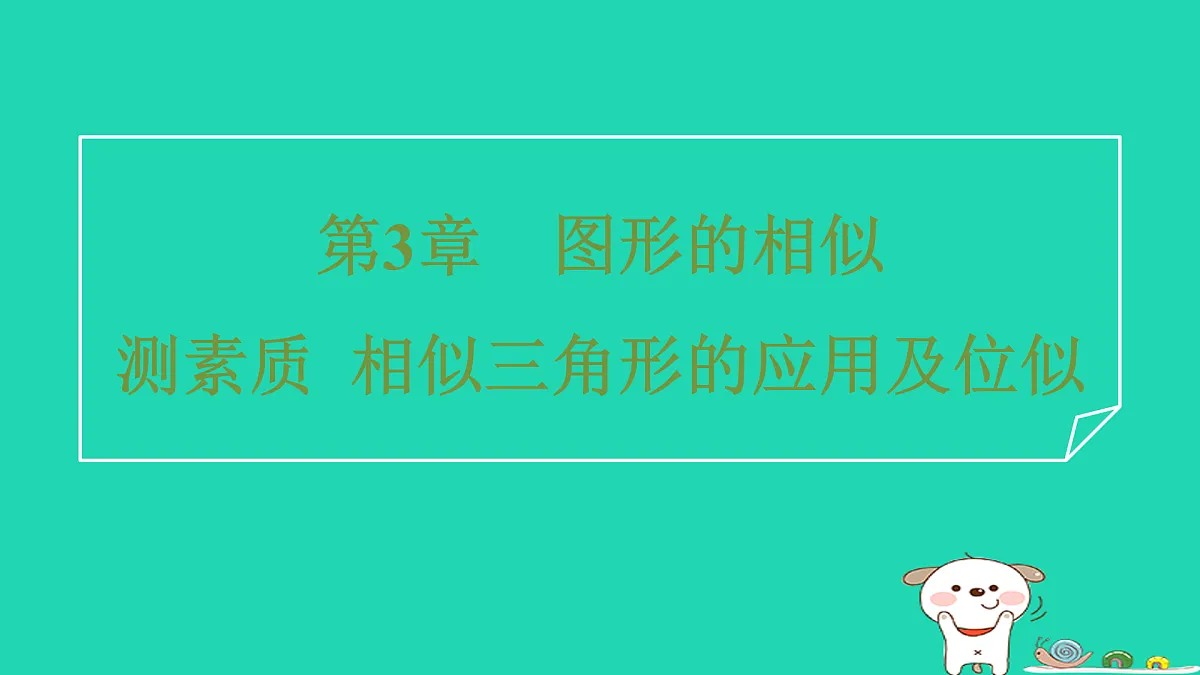 17527902第1页