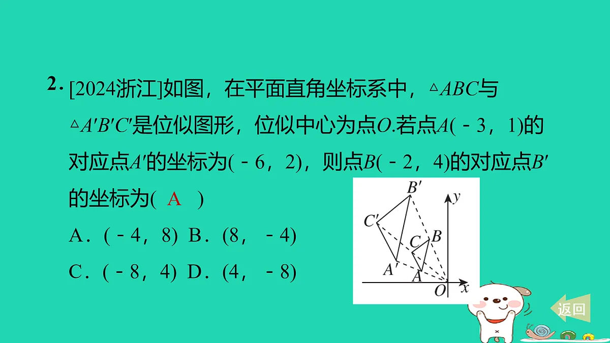 17527902第3页