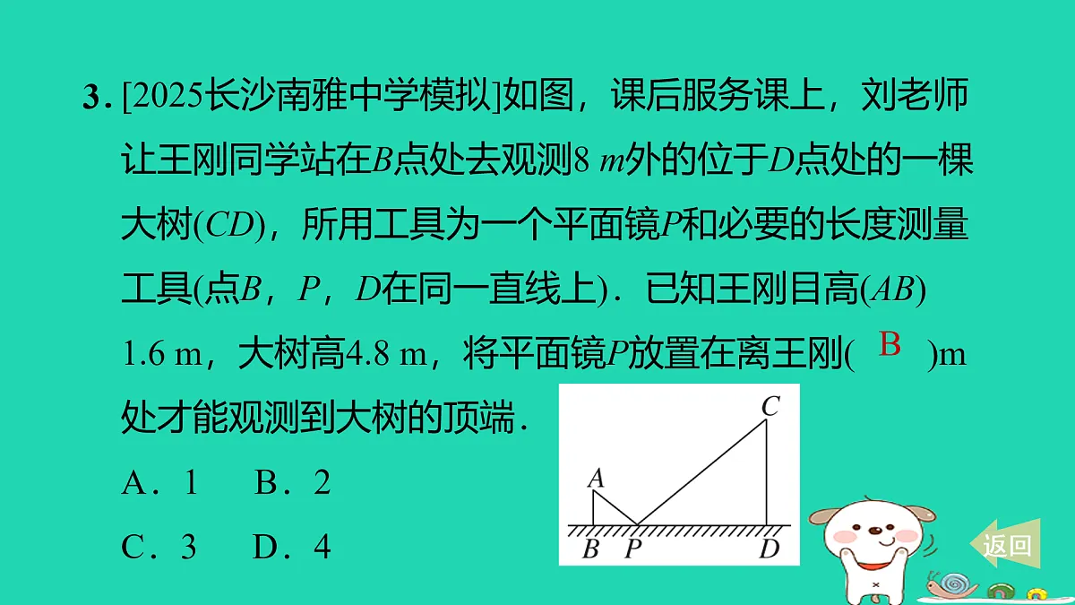 17527902第4页