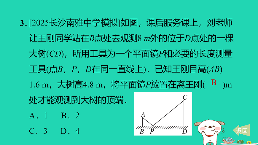 17527902第4页