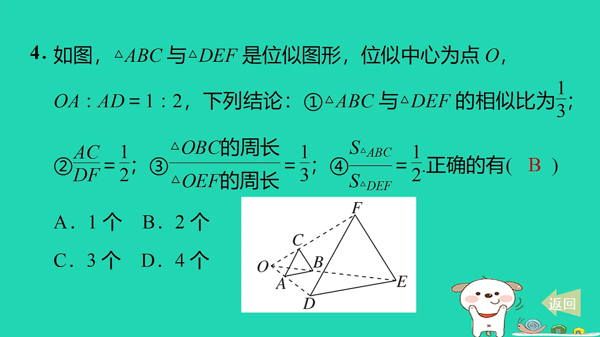 17527902第5页