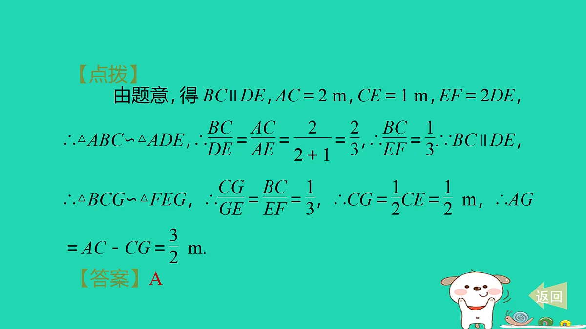 17527902第7页
