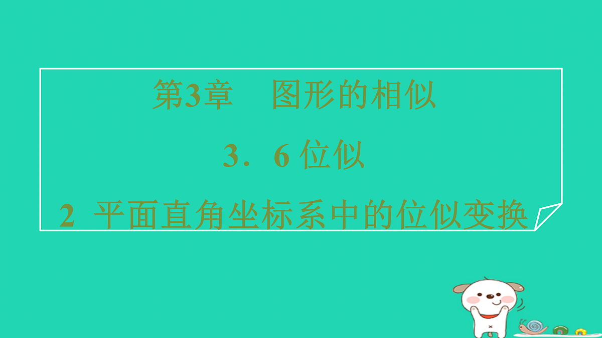 17527904第1页