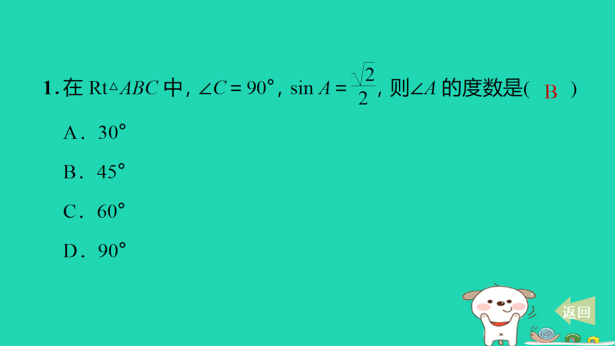 17527906第2页