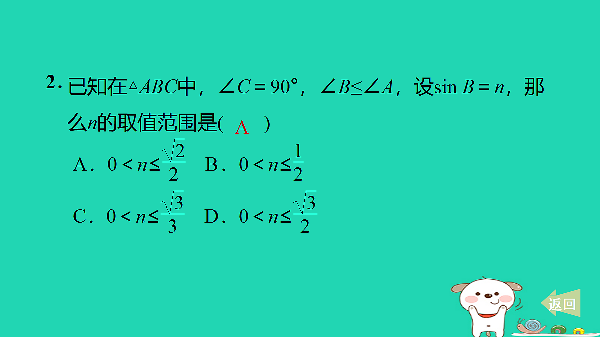 17527906第3页
