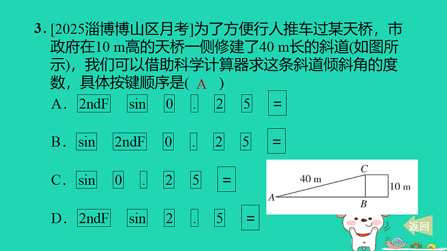 17527906第4页