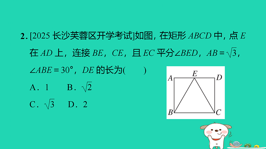 17527911第3页