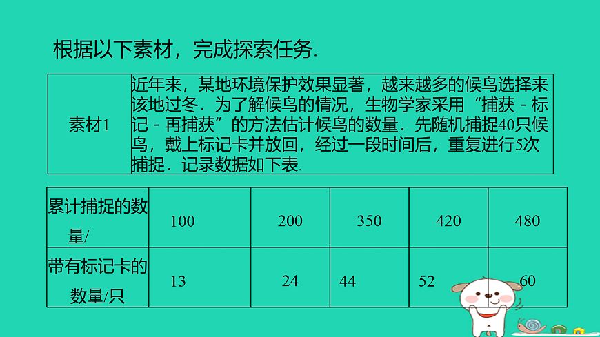 17527931第2页