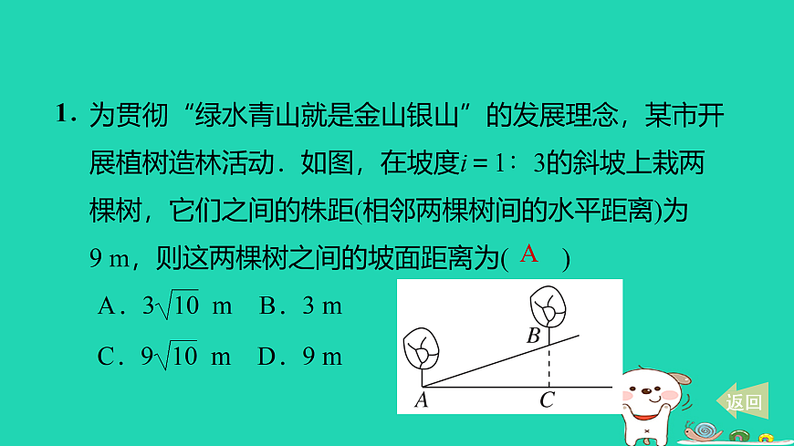 17527950第2页