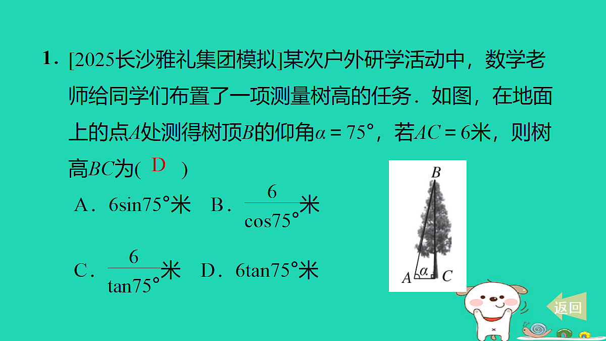 17527951第2页