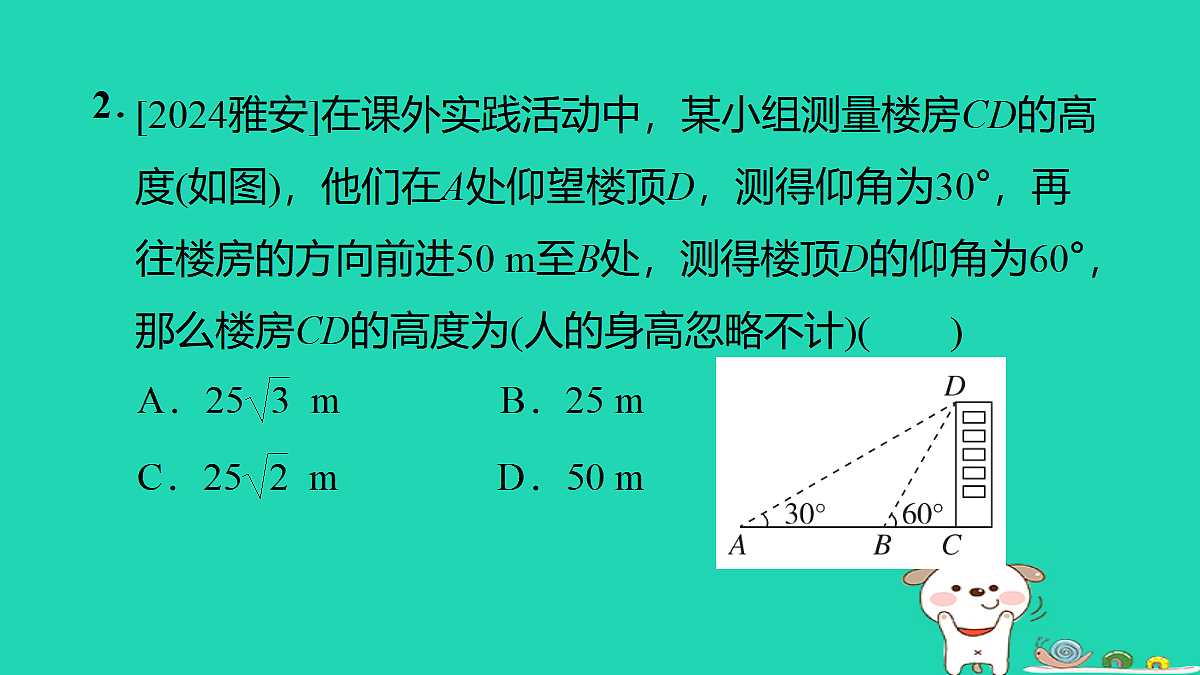 17527951第3页
