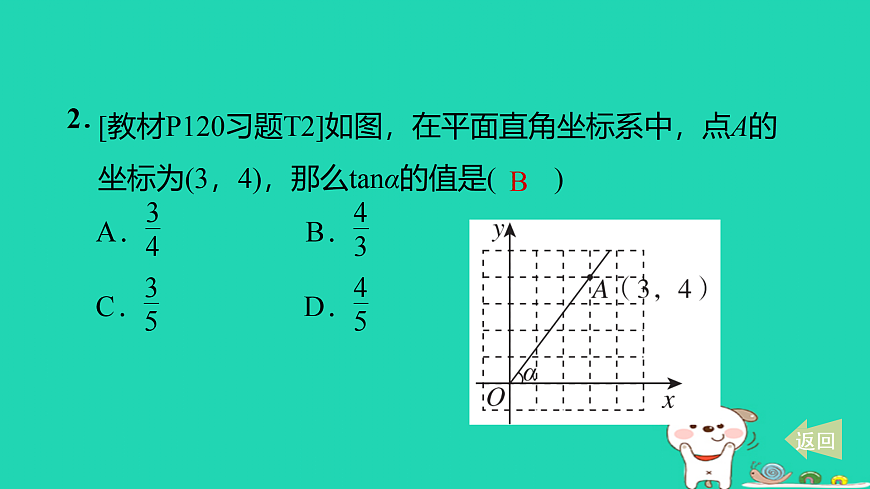 17527954第3页