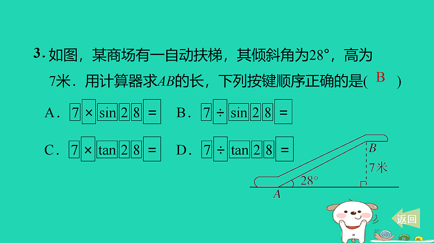 17527954第4页