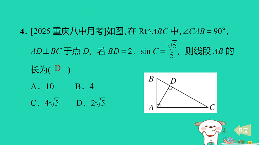 17527954第5页
